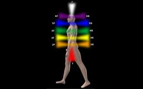 Otvaranje latica-temelj hrama